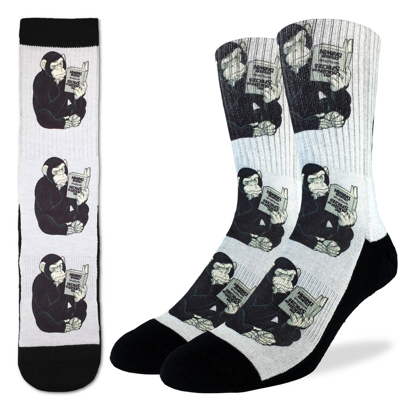 4138 - Origin of Species