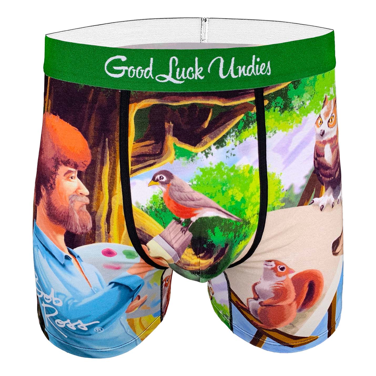 Bob Ross, Painting Underwear